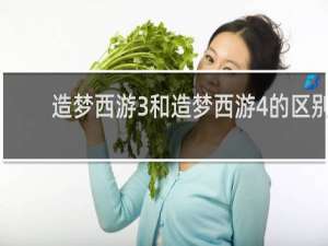 造梦西游3和造梦西游4的区别