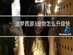 造梦西游3宠物怎么升级快