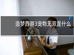 造梦西游3宠物无双是什么