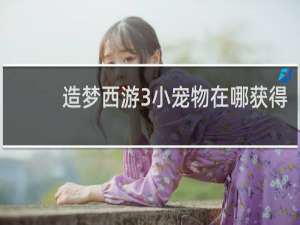 造梦西游3小宠物在哪获得