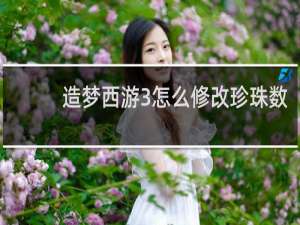 造梦西游3怎么修改珍珠数
