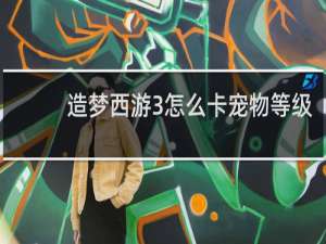 造梦西游3怎么卡宠物等级