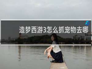 造梦西游3怎么抓宠物去哪