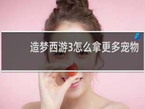造梦西游3怎么拿更多宠物