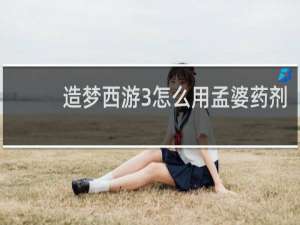 造梦西游3怎么用孟婆药剂