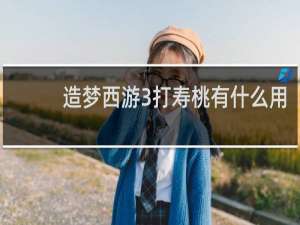 造梦西游3打寿桃有什么用