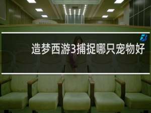 造梦西游3捕捉哪只宠物好