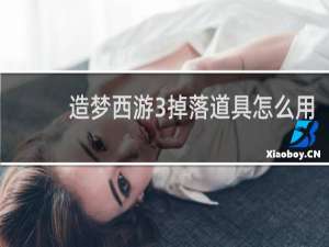 造梦西游3掉落道具怎么用