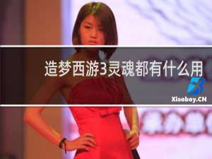造梦西游3灵魂都有什么用