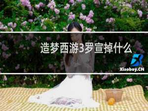 造梦西游3罗宣掉什么