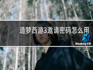 造梦西游3邀请密码怎么用