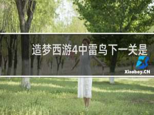 造梦西游4中雷鸟下一关是