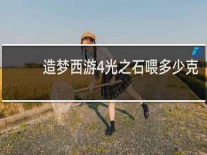 造梦西游4光之石喂多少克