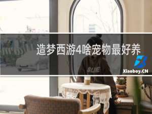 造梦西游4啥宠物最好养