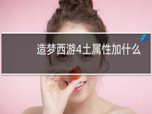 造梦西游4土属性加什么