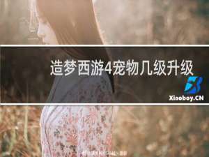 造梦西游4宠物几级升级