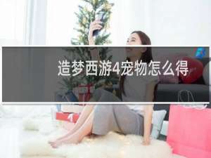 造梦西游4宠物怎么得