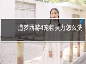 造梦西游4宠物灵力怎么洗