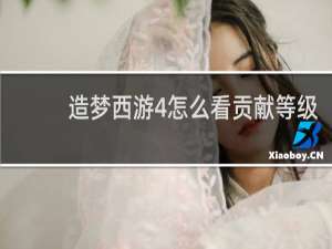 造梦西游4怎么看贡献等级