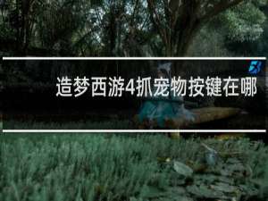 造梦西游4抓宠物按键在哪