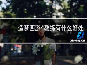 造梦西游4教练有什么好处