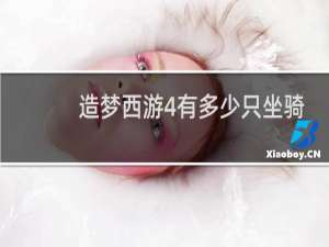 造梦西游4有多少只坐骑