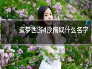 造梦西游4沙僧取什么名字