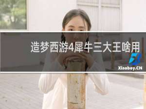 造梦西游4犀牛三大王啥用