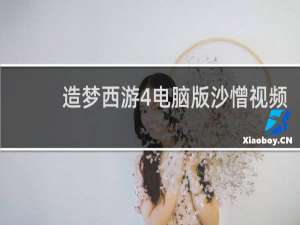 造梦西游4电脑版沙憎视频