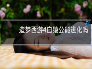 造梦西游4白猿公能进化吗