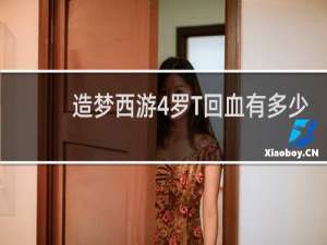 造梦西游4罗T回血有多少