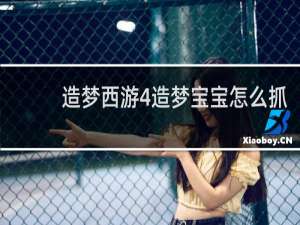 造梦西游4造梦宝宝怎么抓
