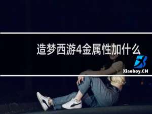 造梦西游4金属性加什么