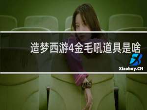 造梦西游4金毛吼道具是啥