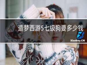 造梦西游5七级狗要多少钱