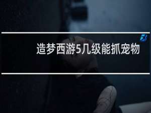 造梦西游5几级能抓宠物