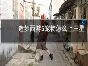 造梦西游5宠物怎么上三星
