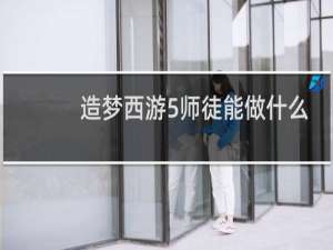 造梦西游5师徒能做什么