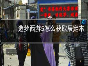 造梦西游5怎么获取辰定木