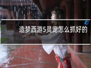 造梦西游5灵宠怎么抓好的