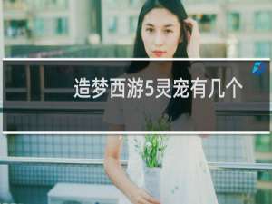 造梦西游5灵宠有几个