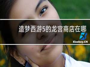 造梦西游5的龙宫商店在哪