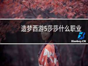 造梦西游5莎莎什么职业