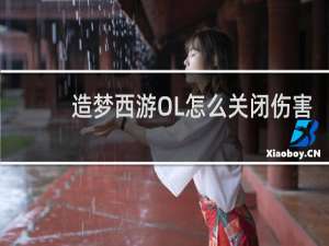 造梦西游OL怎么关闭伤害