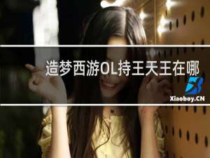 造梦西游OL持王天王在哪