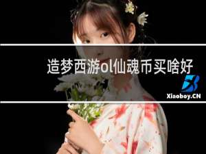 造梦西游ol仙魂币买啥好
