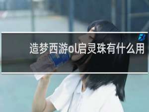 造梦西游ol启灵珠有什么用