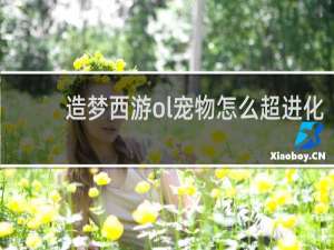 造梦西游ol宠物怎么超进化