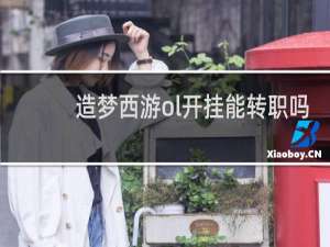 造梦西游ol开挂能转职吗