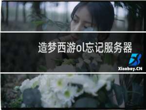 造梦西游ol忘记服务器